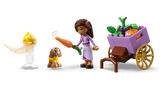 LEGO Disney Asha in the City of Rosas 43223L