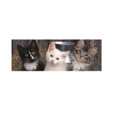 Dino panoramic puzzle 150 pcs Kitten 39333D