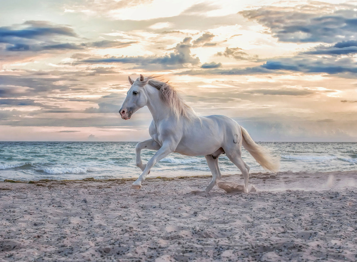 Ravensburger Puzzle 500 Pieces: Evening Gallop 12000222V