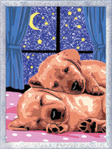 Ravensburger Paint by Numbers Sleep Well! 202164V