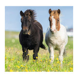 Ravensburger Puzzle 3x49 pc Loving Horses 080113V