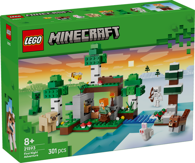 LEGO Minecraft First Night Adventure 21593L