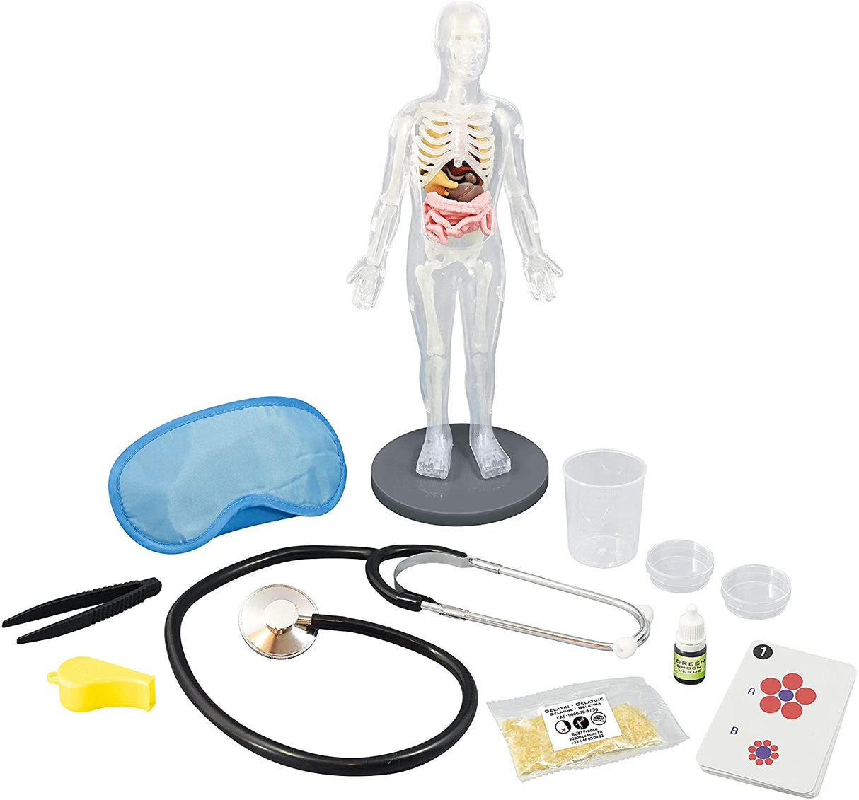 Buki Human Body 2163I