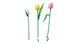 LEGO Botanicals Tulip Bouquet 11501L