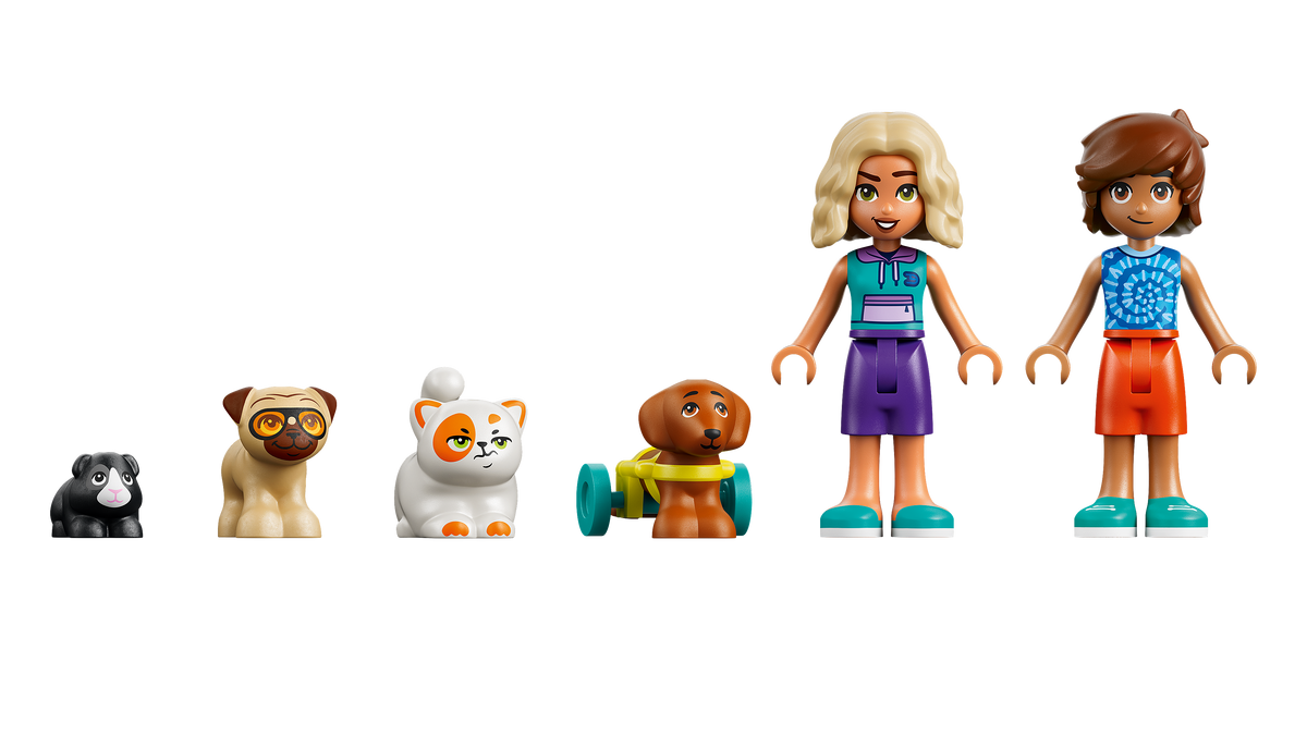 LEGO Friends Friends Fun Water Park Day 42676L