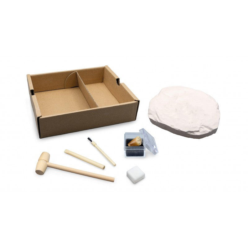 Buki Dino Dig T-Rex 445TYRI
