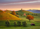 Dino Puzzle 3000 pc Fairytale Sunrise 56321D