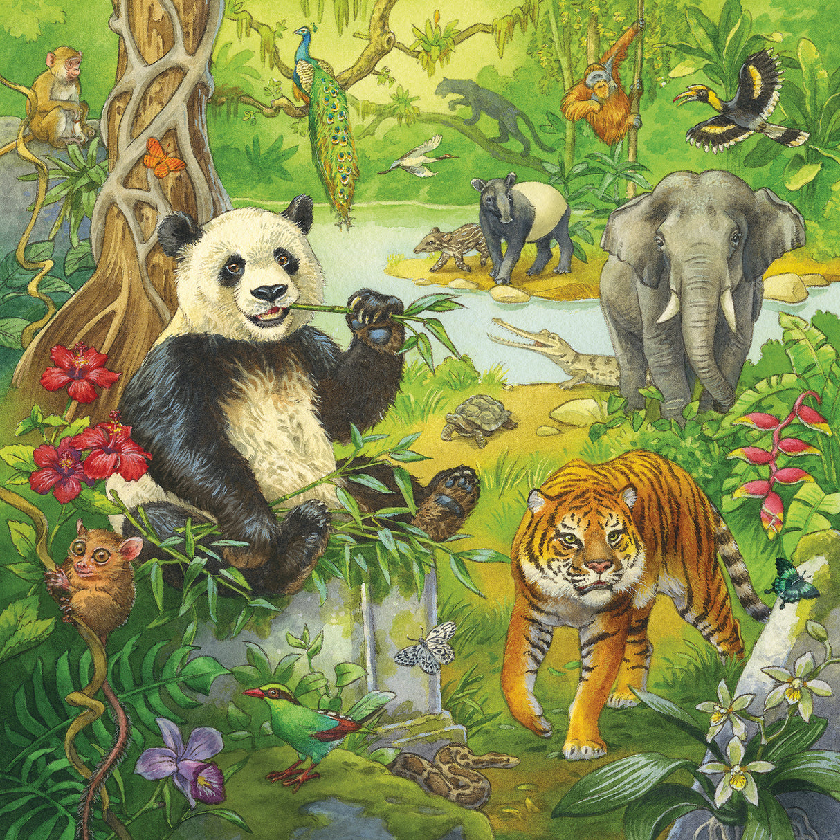 Ravensburger Puzzle 3x49 pc Jungle Fun 051809V