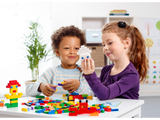 LEGO Education Creative Brick Set  45020L
