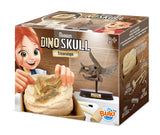 Buki Museum Skull Triceratops 2131I