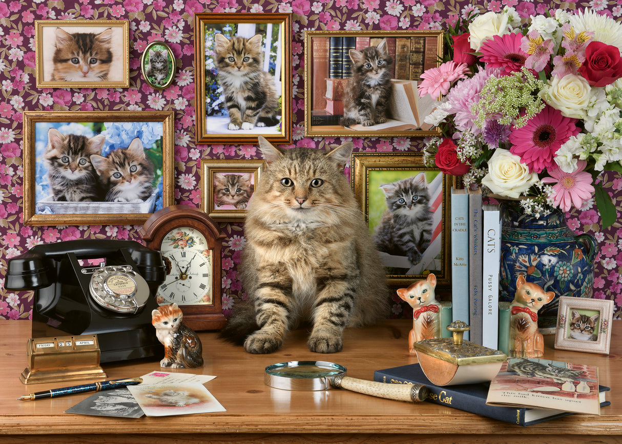 Ravensburger Puzzle 1000 Pieces: My Cute Kitty 12000482V