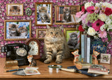 Ravensburger Puzzle 1000 Pieces: My Cute Kitty 12000482V