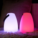 TTS Light Up Lanterns 2pk SS46614B