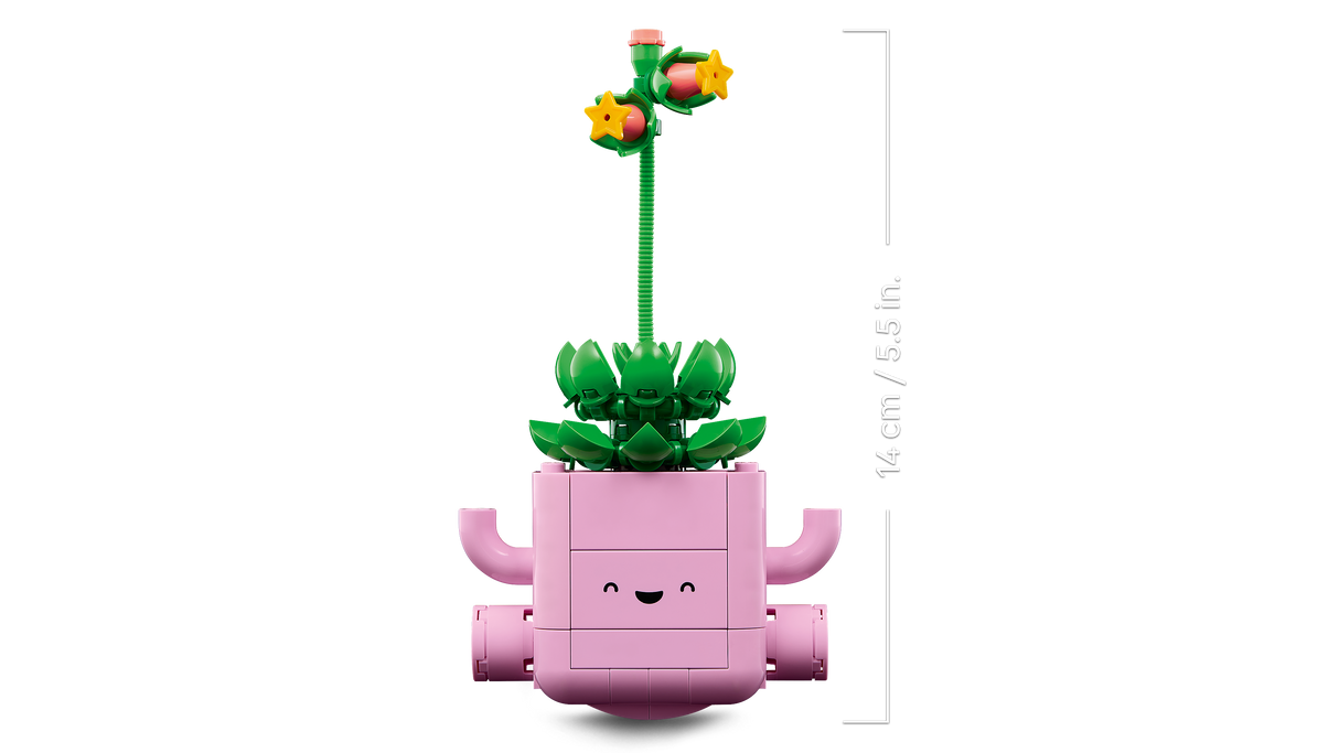 LEGO Botanicals Rocking Plants 11506L
