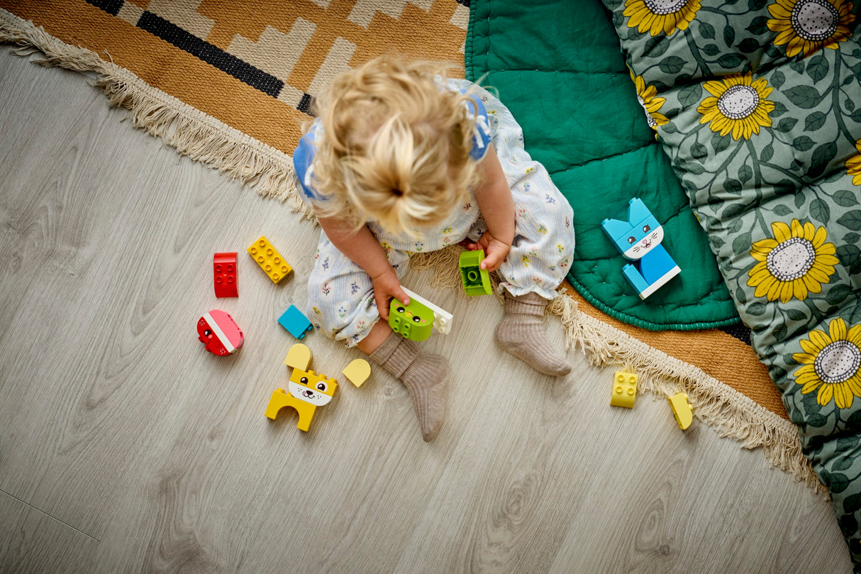 LEGO DUPLO 3 in 1 Creative Cute Pets 10477L