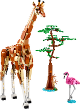 LEGO Creator Wild Safari Animals 31150L