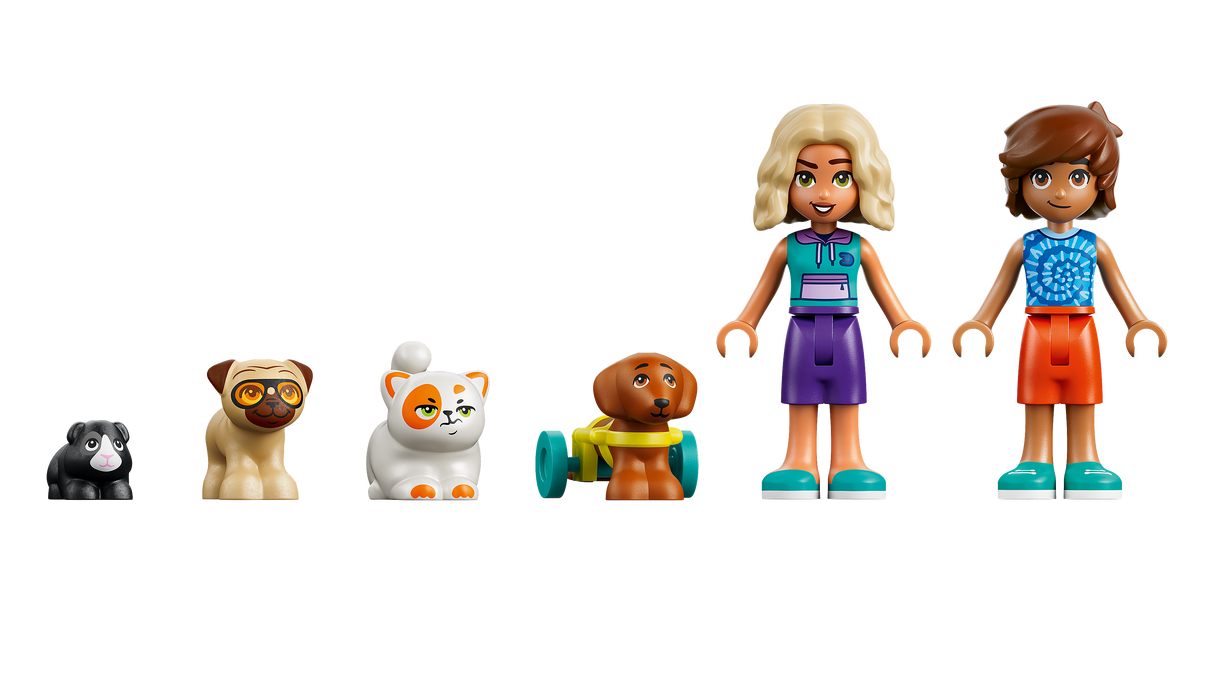 LEGO Friends Friends Fun Water Park Day 42676L