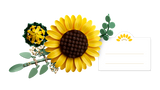 LEGO Botanicals Sunflower Bouquet 11502L