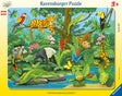 Ravensburger Frame Puzzle 11 pc Rainforest 051403V