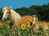 Ravensburger Puzzle 200 pc Horse Fortune 126286V