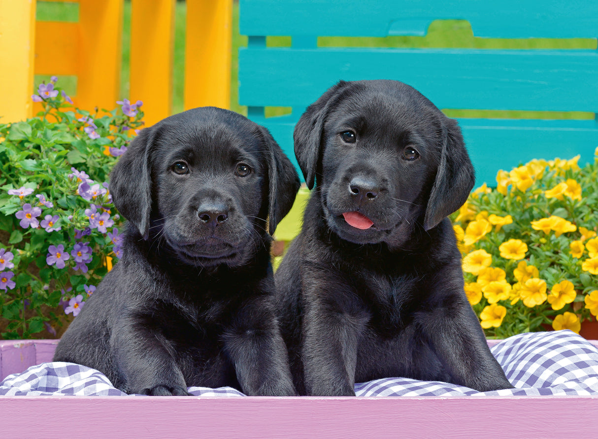 Ravensburger  Puzzle 300 pc Puppies 129508V