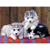 Ravensburger Puzzle 200 pc Huskies 128235V