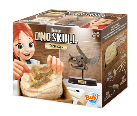 Buki Museum Skull Triceratops 2131I