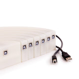 TTS Rainbow Glow Arches 7pk EL45134B