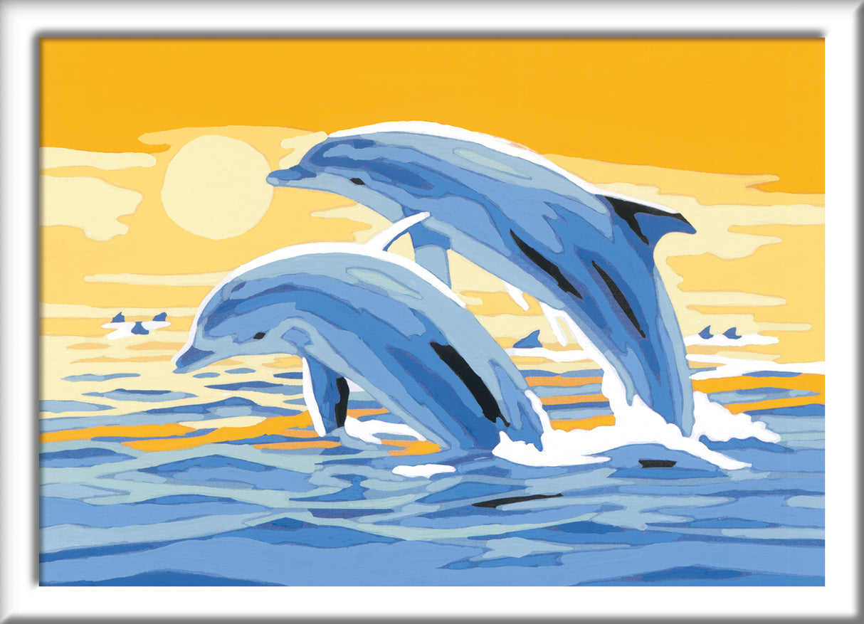 Ravensburger Paint by Numbers Delightful Dolphins 200733V