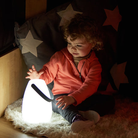 TTS Light Up Lanterns 2pk SS46614B
