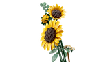 LEGO Botanicals Sunflower Bouquet 11502L