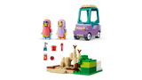 LEGO Bluey Grannies with Bingo and Bluey 11216L