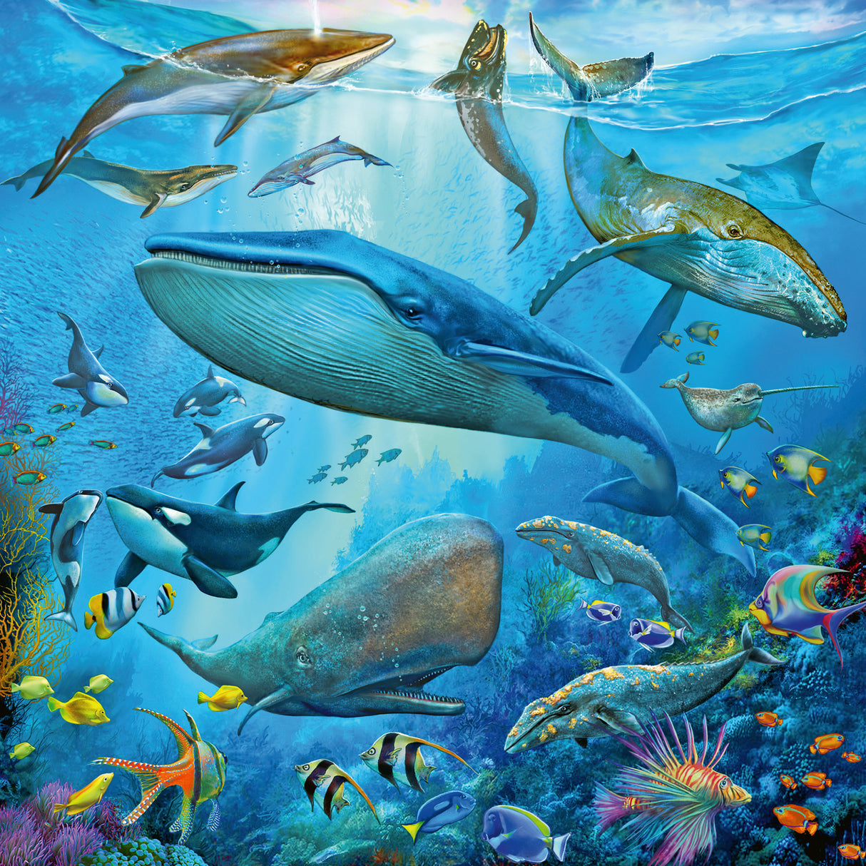 Ravensburger Puzzle 3x49 pc Ocean Life 051496V