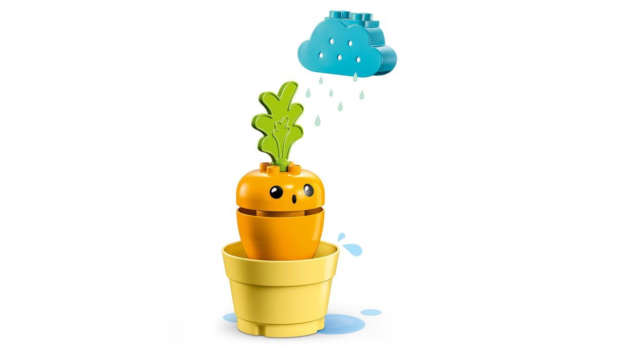 LEGO DUPLO A Growing Carrot 10981L