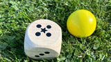 Bex 5Star outdoor game: Family 541-600