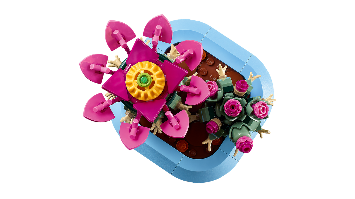 LEGO Botanicals Flowering Cactus 11509L
