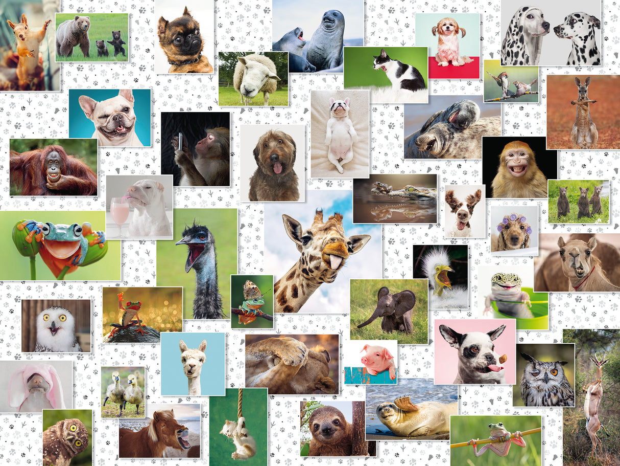 Ravensburger Puzzle 1500 pc Funny Animals Collage 167111V