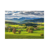 Dino Puzzle 3000 Pieces: Spring 56327D