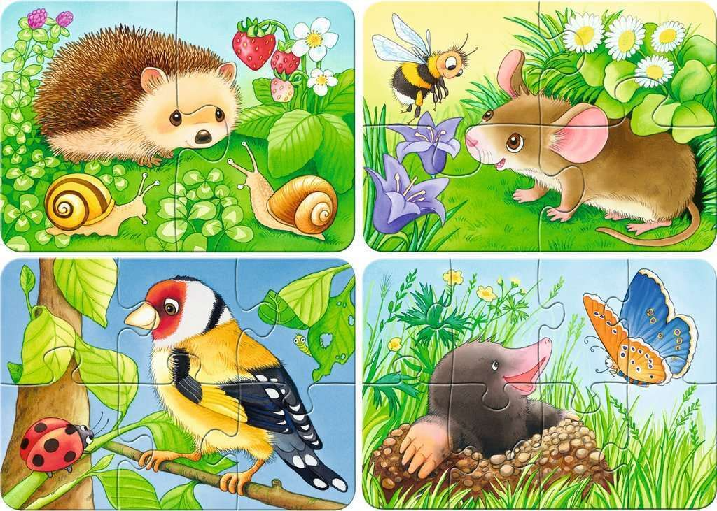 Ravensburger My First Puzzles 2-4-6-8 pc 069521V