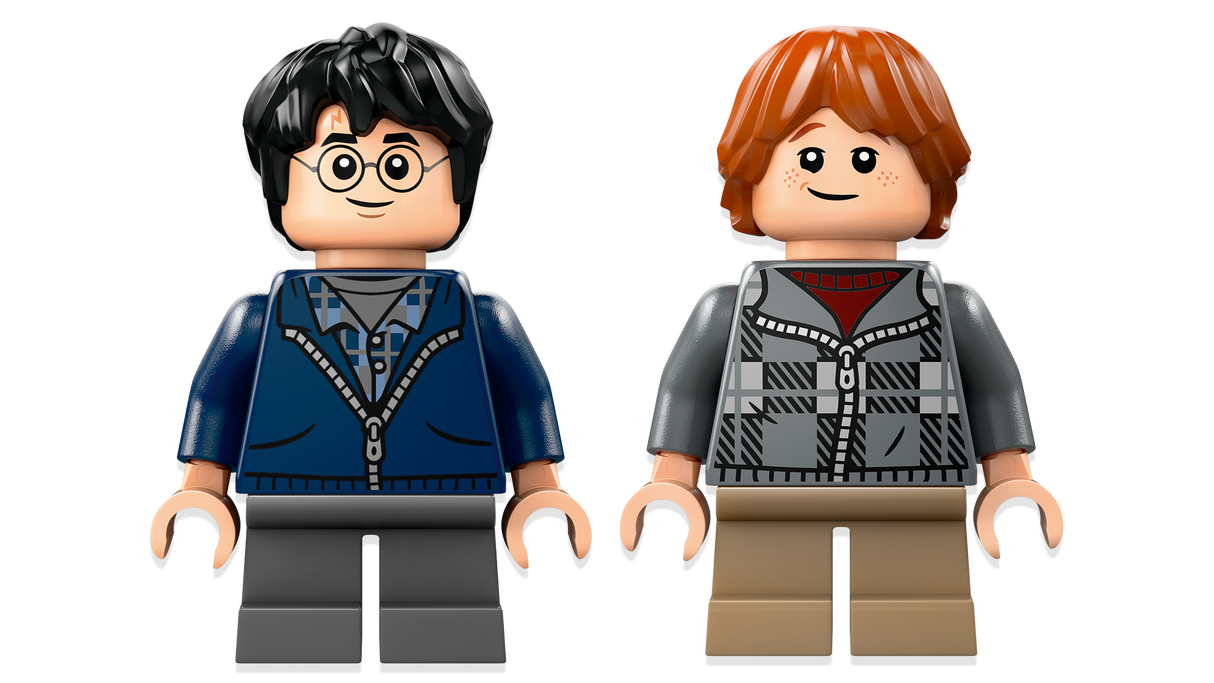 LEGO Harry Potter Aragog in the Forbidden Forest 76434L