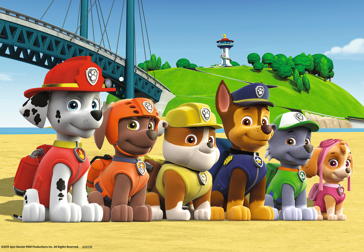 Ravensburger Puzzle 2x24 pc Paw Patrol  090648V