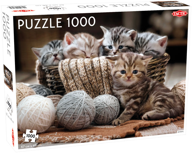 Tactic puzzle 1000 pc Cute Kittens 56803T