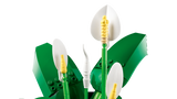 LEGO Botanicals Peace Lily 11504L