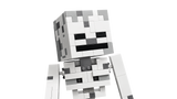 LEGO Minecraft The Skeleton 21594L