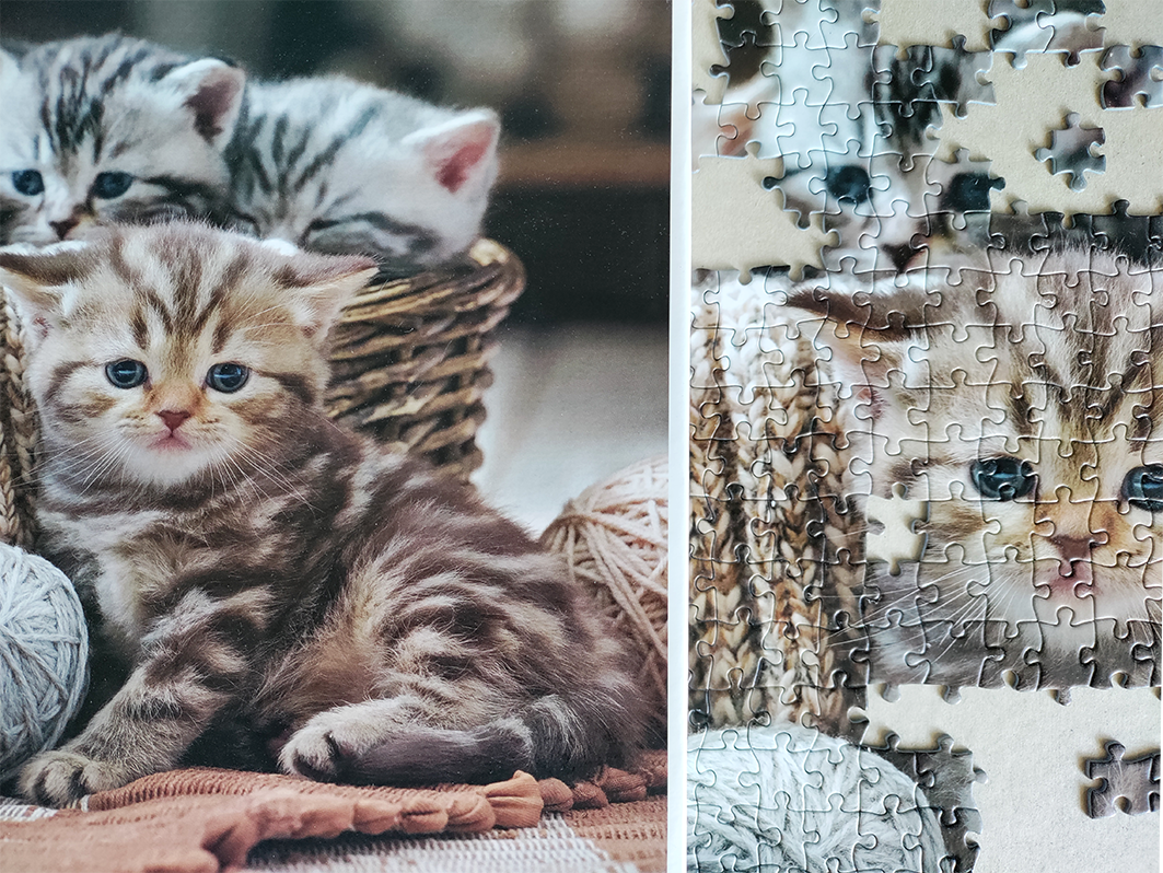 Tactic puzzle 1000 pc Cute Kittens 56803T