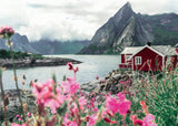Ravensburger Puzzle 1000 Pieces: Lofoten, Norway 12000112V