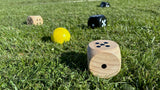 Bex 5Star outdoor game: Family 541-600