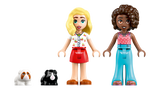 LEGO Friends Guinea Pig Playground 42640L