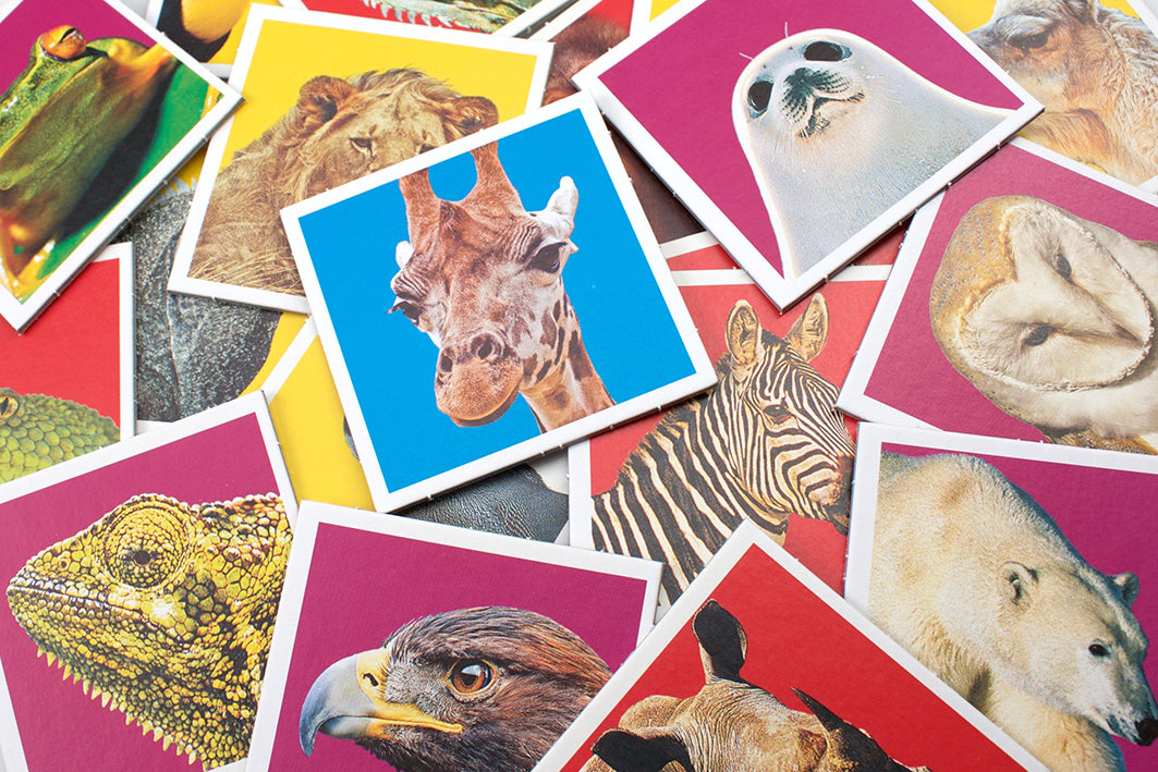 Tactic Board Game Memo Wildlife  41441T