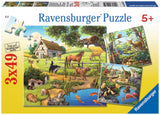 Ravensburger Puzzle 3x49 pc Animals 092659V